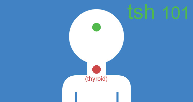 Tsh Test Overview Of Thyroid Stimulating Hormone To Test Your Thyroid My Labs For Life - ths test place roblox