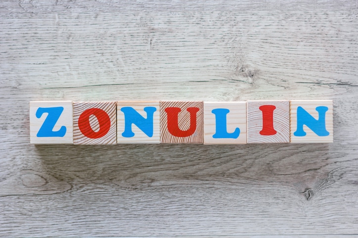 Toy cubes with printed letters forming ZONULIN word
